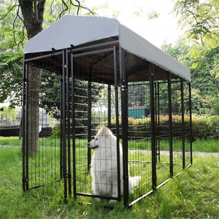 Medium sized 2024 dog kennel